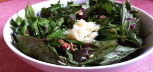 Салат из крапивы рецепт польза и вред
