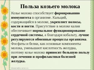 Молоко козье польза и вред в пожилом возрасте