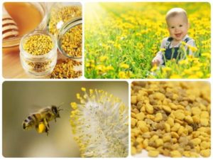 Пчелиная пыльца польза и вред как принимать детям