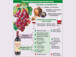 Польза и вред вина красного сухого вина