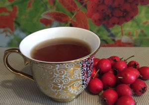 Чай из ягод боярышника польза и вред