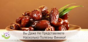 Сушеные финики польза и вред для организма человека