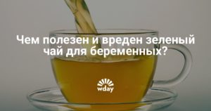 Зеленый чай для беременных польза и вред