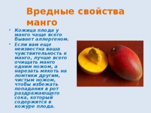 Польза и вред манго для женщин