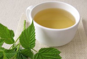Чай из листьев малины польза и вред для женщин