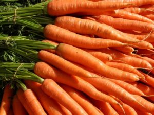 Морковь при сахарном диабете 2 типа польза и вред