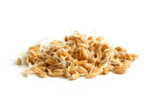 Зародыши пшеницы польза и вред как принимать