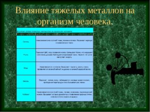 Влияние металлов на организм человека польза и вред