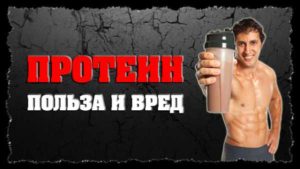 Вред от протеина и польза и вред