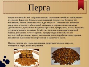 Пчелиная перга для мужчин польза и вред