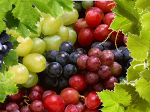 Виноград красный польза и вред для организма
