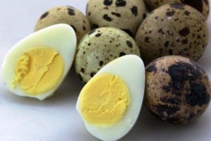 Скорлупа перепелиных яиц польза и вред как принимать