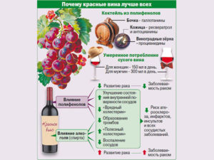 Полусладкое красное вино вред и польза и вред