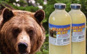 Медвежий жир вред и польза и вред