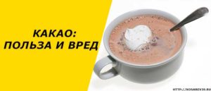 Какао вред или польза для здоровья человека?