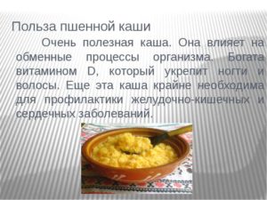 Пшенная каша вред и польза для детей