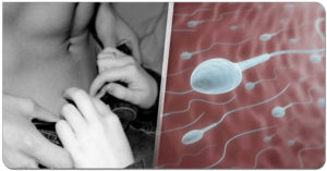 Вред и польза спермы для женщин