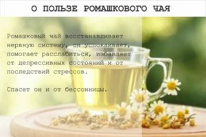Чай с ромашкой польза и вред для мужчин