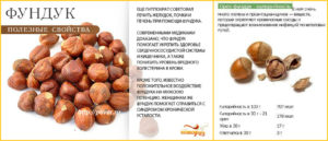 Орехи фундук польза и вред для здоровья