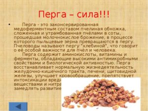 Пчелиная пыльца польза и вред для женщин как принимать