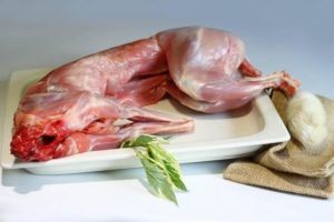Мясо кролика польза и вред для организма человека