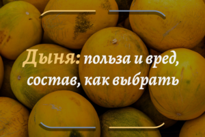 Дыня польза и вред для здоровья при беременности