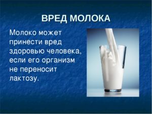 О пользе и вреде молока и молочных продуктов