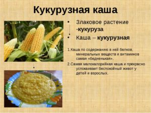 Кукурузная каша польза и вред для здоровья