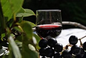 Вино из черной смородины польза и вред