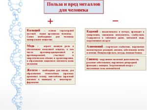 Влияние металлов на организм человека польза и вред