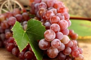 Виноград красный польза и вред для организма