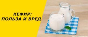 Кефир домашний вред и польза и вред