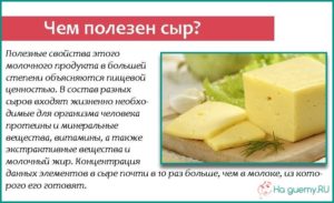 Сыр польза и вред для организма человека