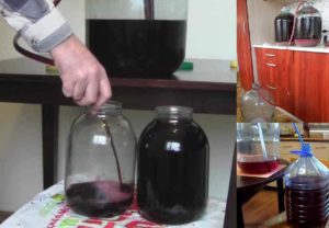 Домашнее вино из винограда вред и польза