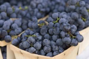 Виноград изабелла польза и вред для беременных