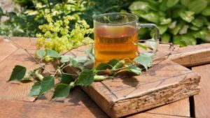 Чай из березовых листьев польза и вред