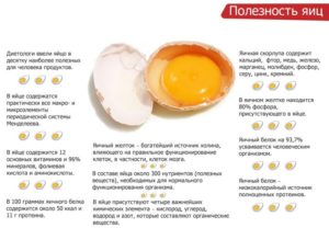 Белок и желток яйца польза и вред