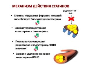 Статины от холестерина польза и вред крестор