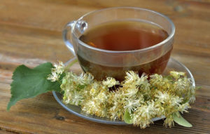 Чай из цветков липы польза и вред