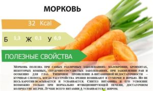 Морковь вареная польза и вред для здоровья