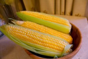 Можно ли есть сырую кукурузу и ее польза и вред?