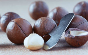 Макадамия орех вред и польза и вред