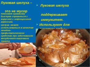 Отвар луковой шелухи польза и вред для организма