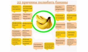 Бананы на голодный желудок польза и вред