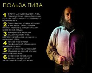 Польза и вред пива для организма человека