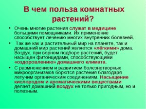 Вред и польза комнатных растений проект