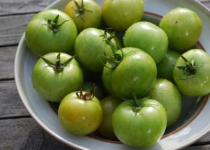 Зеленые помидоры польза и вред для организма