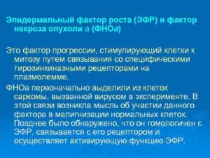 Эпидермальный фактор роста в косметологии вред и польза