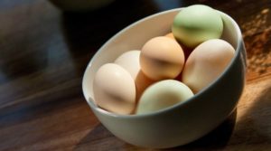Утиное яйцо польза и вред как употреблять