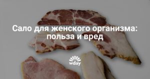 Вареное сало польза и вред для организма